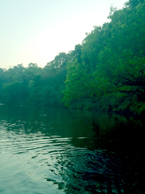a0201204_1431347.jpg