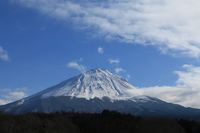 a0188405_2042729.jpg