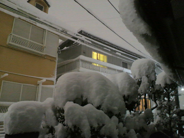 f0127408_23541930.jpg