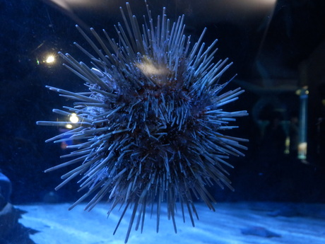 c0062511_2145880.jpg