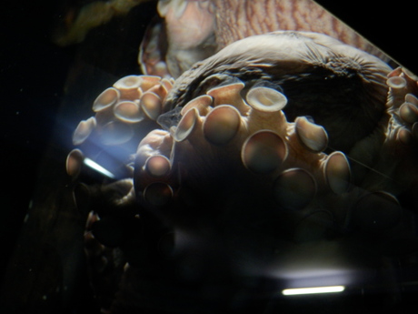 c0062511_2163277.jpg