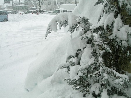 c0247614_155340.jpg