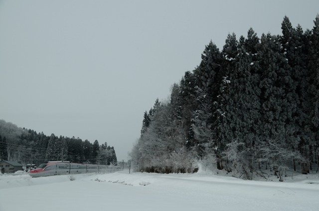 e0005714_1659960.jpg