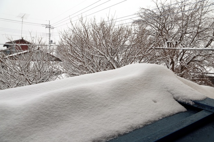 b0062024_921493.jpg
