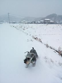 f0022024_1933750.jpg