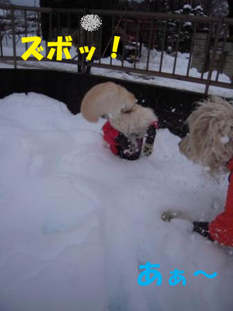 f0176830_1949960.jpg