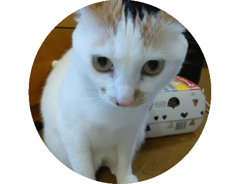 a0278632_14523038.gif