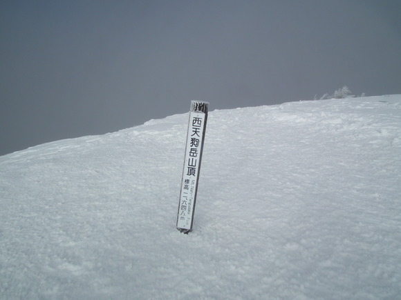 f0118332_15263937.jpg