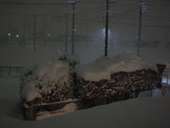 b0042334_1962534.jpg