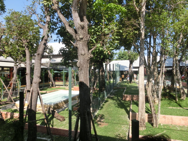 f0001835_13481827.jpg