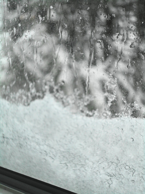 a0224537_7592323.jpg