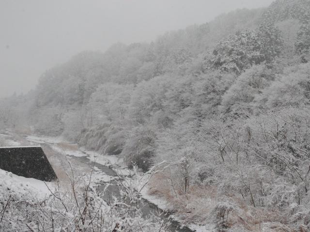 a0048040_10245322.jpg