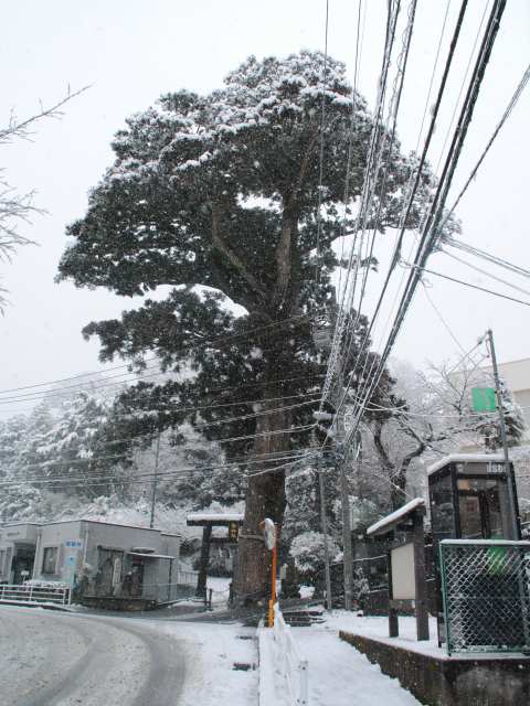 a0048040_1025994.jpg