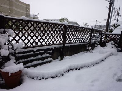 c0211540_1137296.jpg