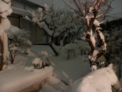 d0169340_1632352.jpg