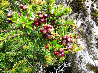 d0167041_9234244.jpg