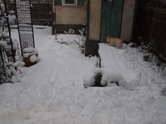 d0319745_11193669.jpg