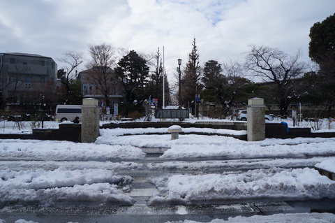 c0206352_2213552.jpg
