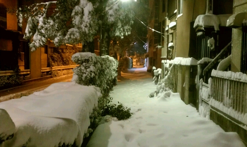 a0094455_5174950.jpg