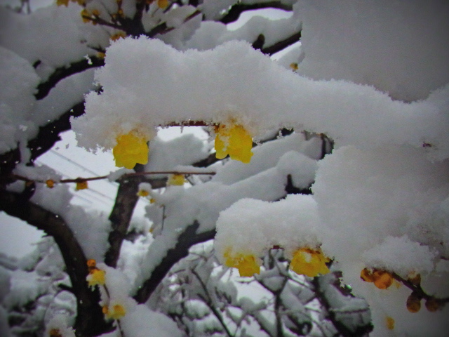b0238760_16352114.jpg