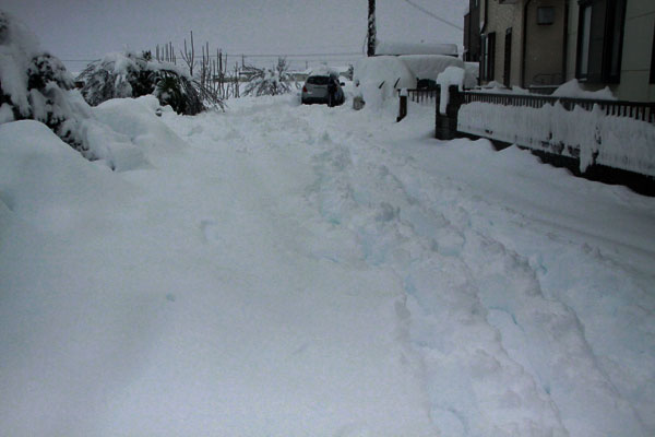 f0297764_20511381.jpg