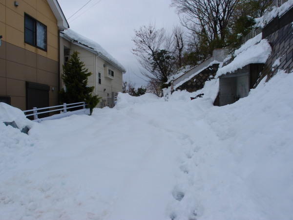 c0122670_17391734.jpg