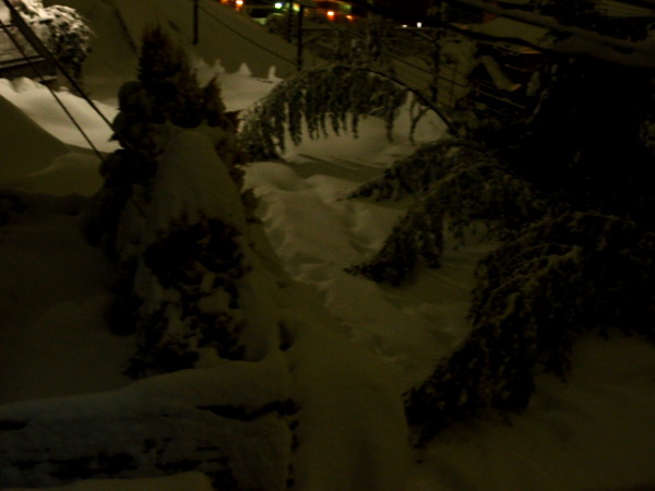 c0122670_17531210.jpg