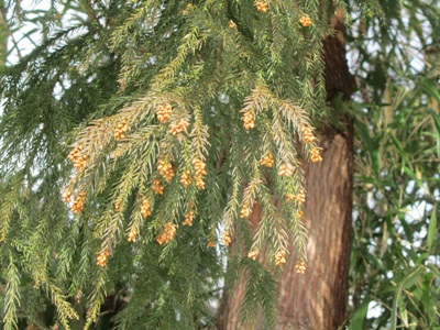 b0149071_2046437.jpg