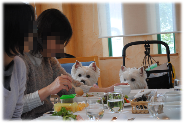 b0242873_23375052.png