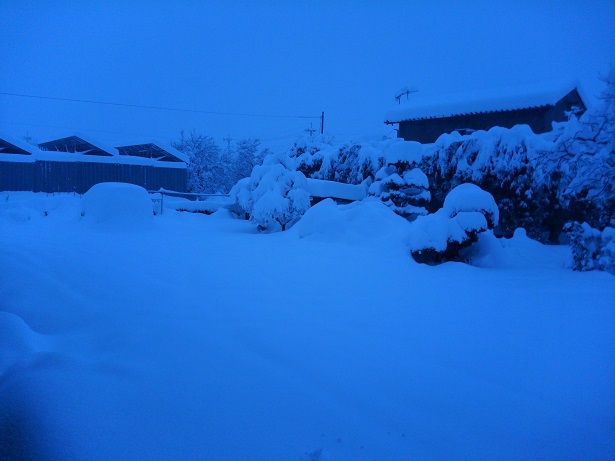 d0038975_14495262.jpg