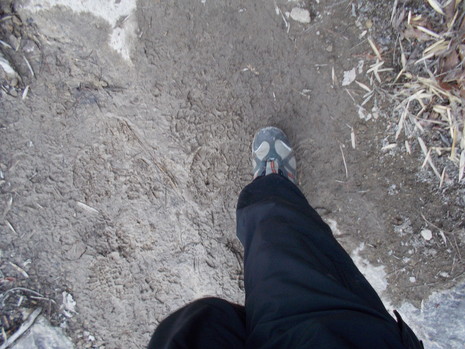 c0019376_15125872.jpg