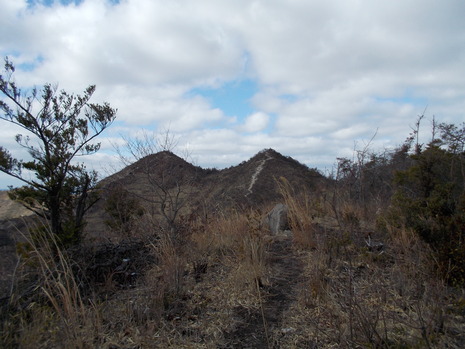 c0019376_15341312.jpg