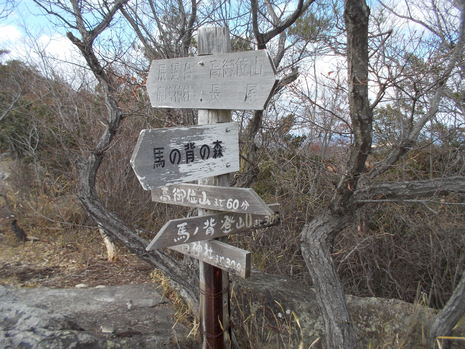 c0019376_1641926.jpg