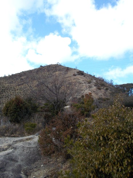 c0019376_1712421.jpg