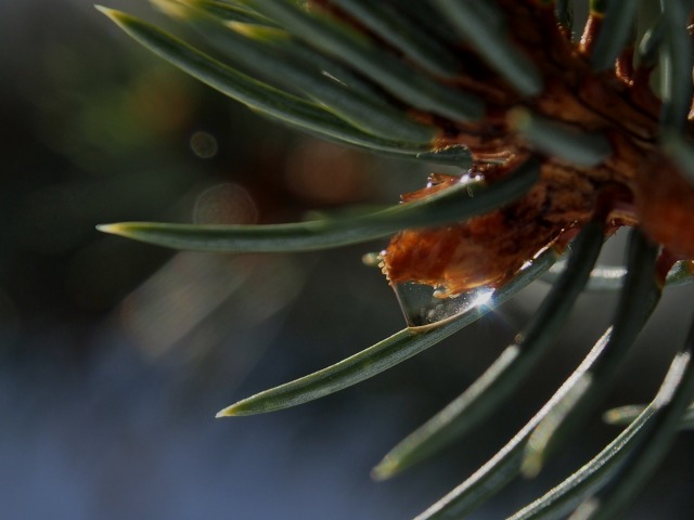 c0183777_7141634.jpg