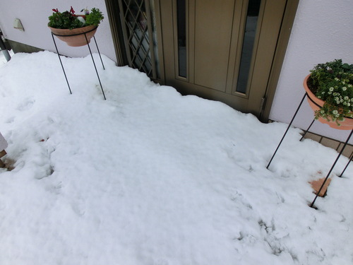 e0123587_22171699.jpg