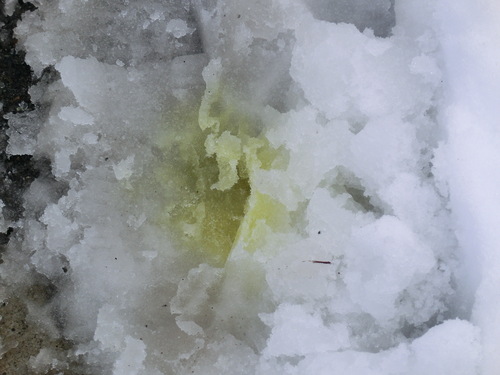 e0123587_22221213.jpg