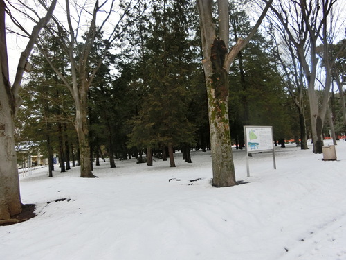 a0319693_185148100.jpg