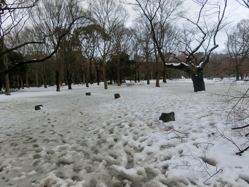 a0319693_18541457.jpg