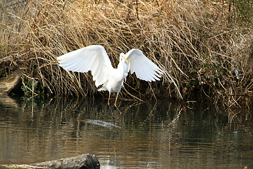 b0014607_18501340.jpg