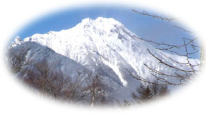 c0048023_973677.jpg