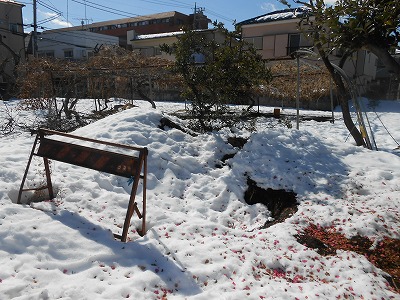 f0037623_2243593.jpg