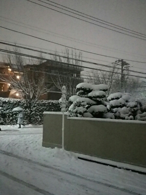 f0106823_23776.jpg