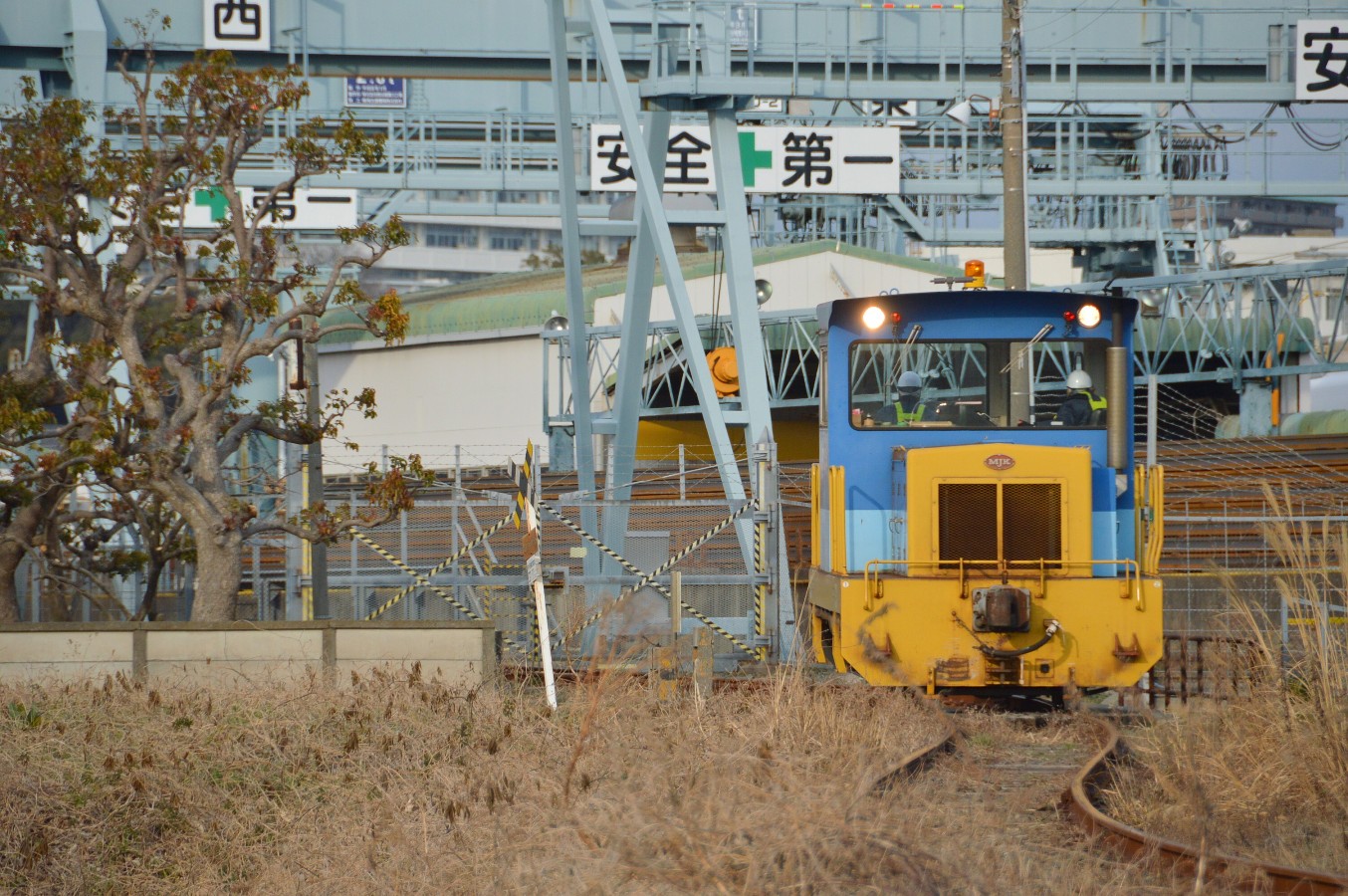 d0181924_121072.jpg