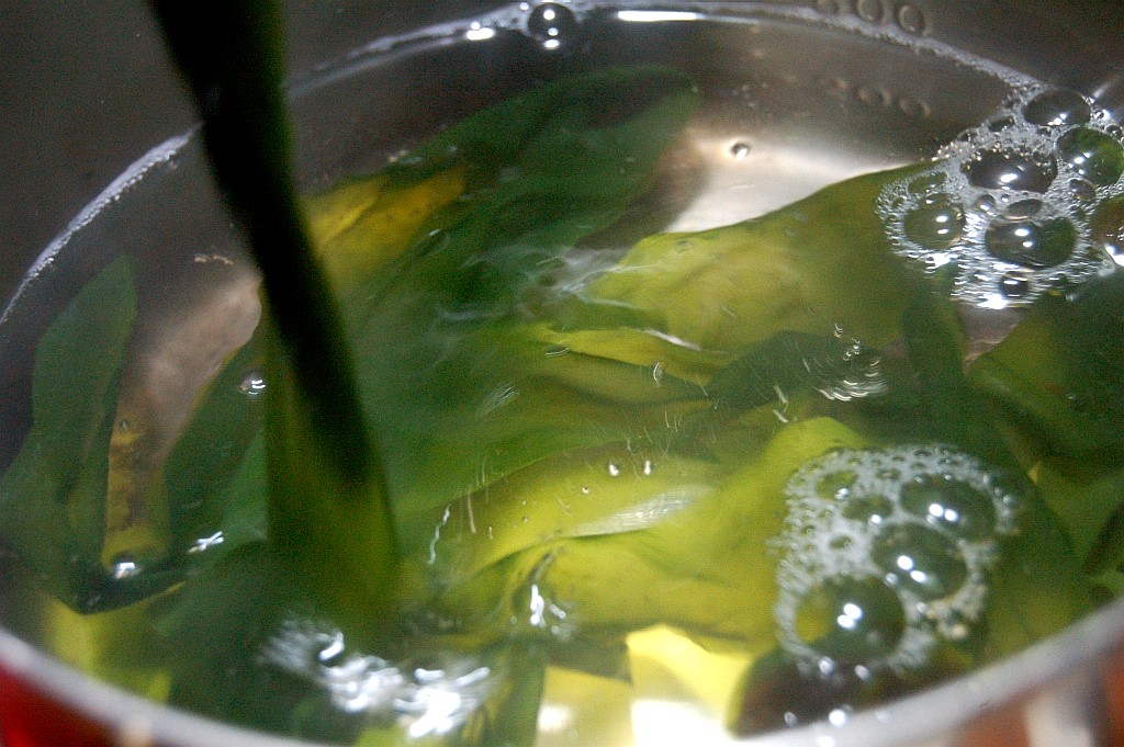 e0107030_18331346.jpg