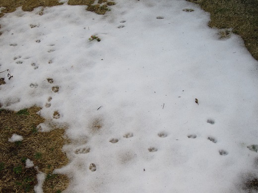 f0002833_1311478.jpg