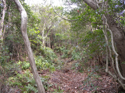 e0272335_20134825.jpg