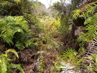 e0272335_20191596.jpg