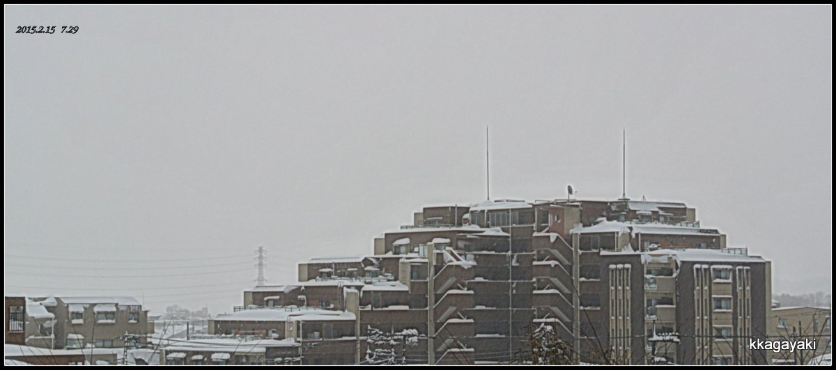 e0206242_1828224.jpg
