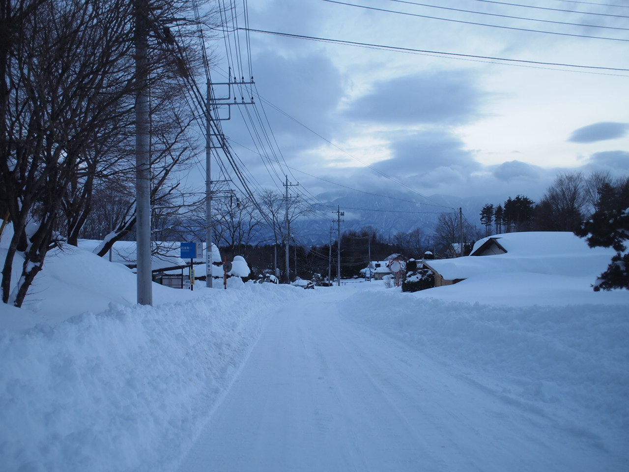 a0299945_17013117.jpg
